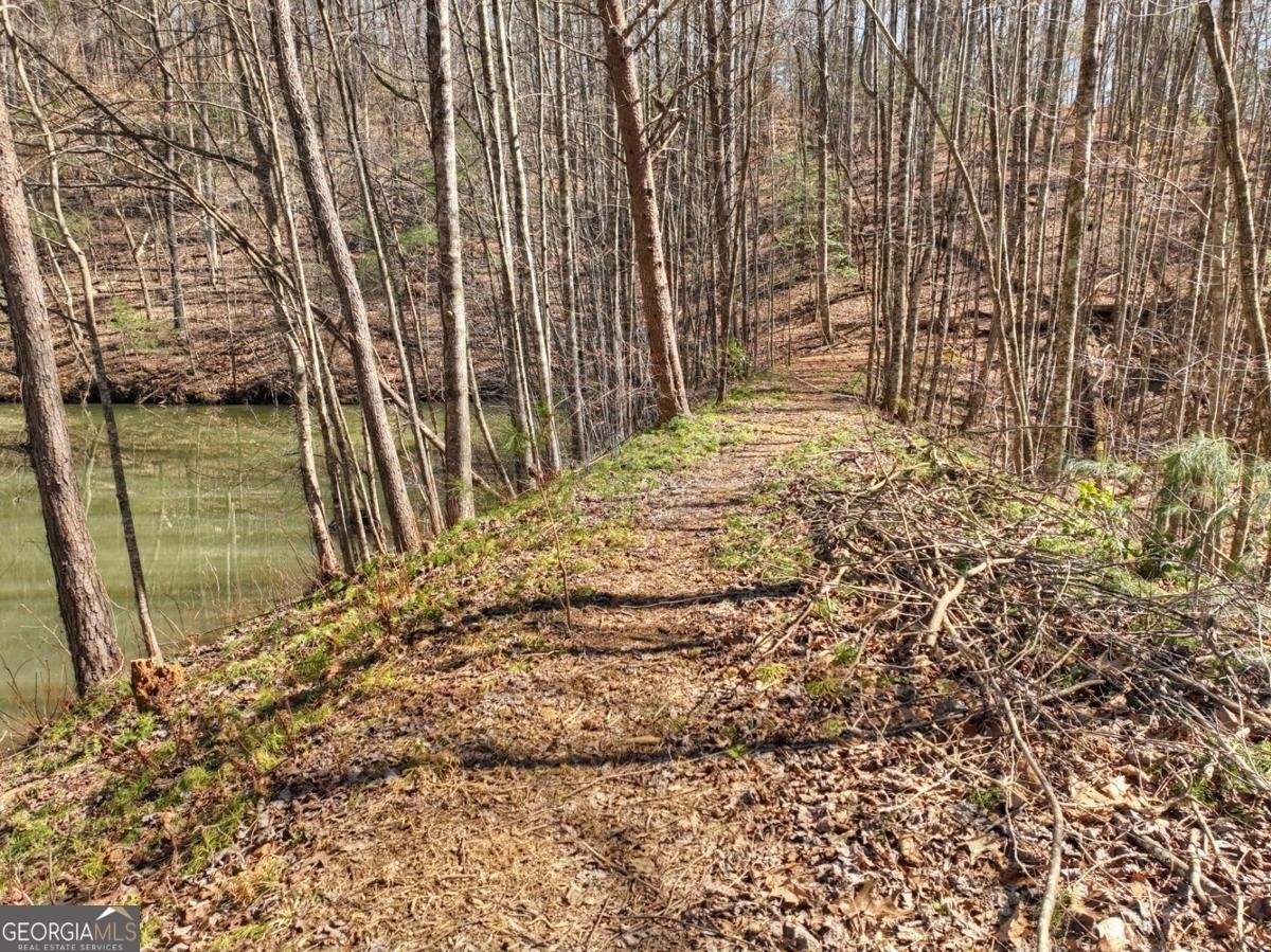 638 Cohutta Mountain Road Cherry Log - 18