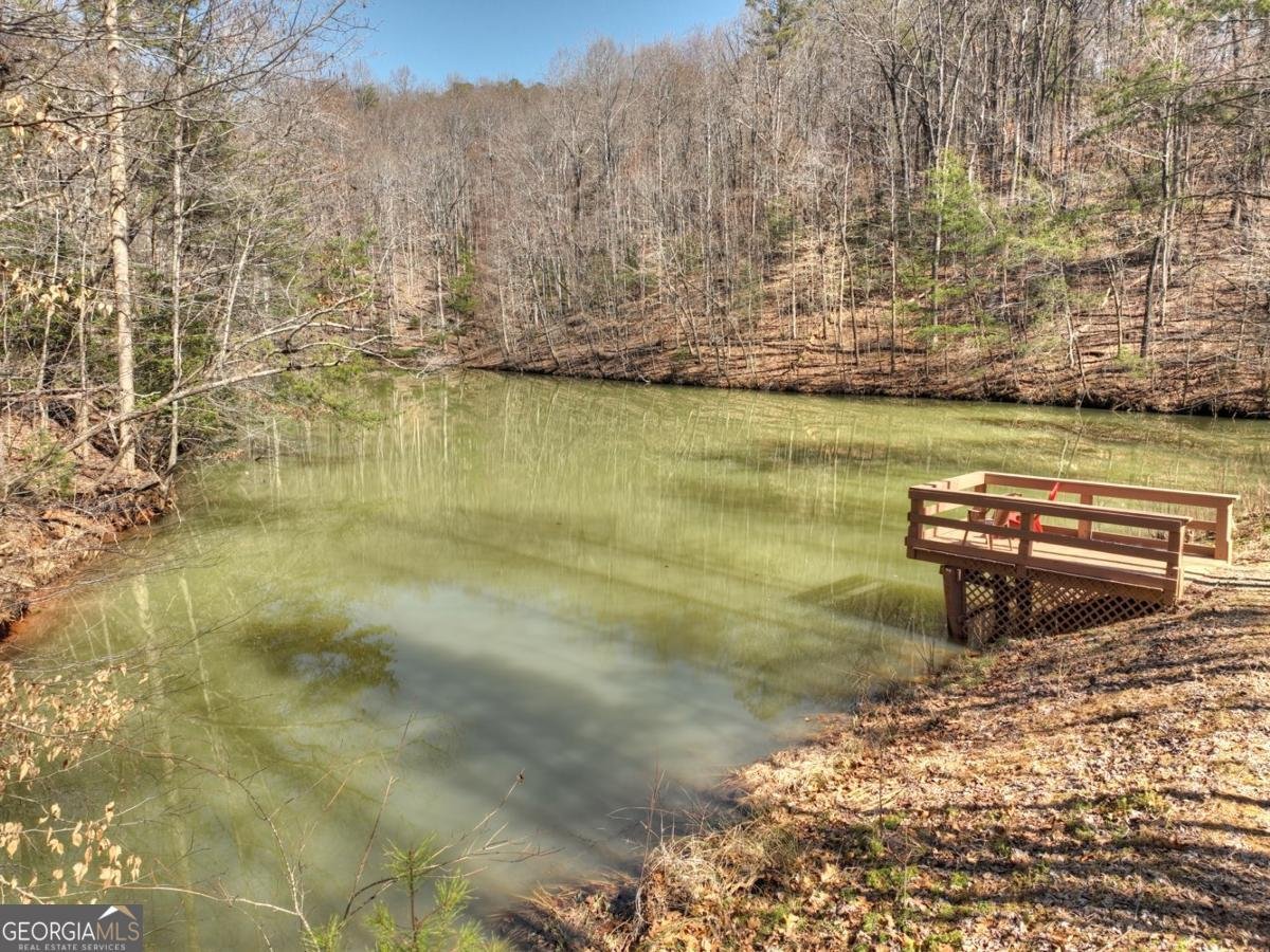 638 Cohutta Mountain Road Cherry Log - 20