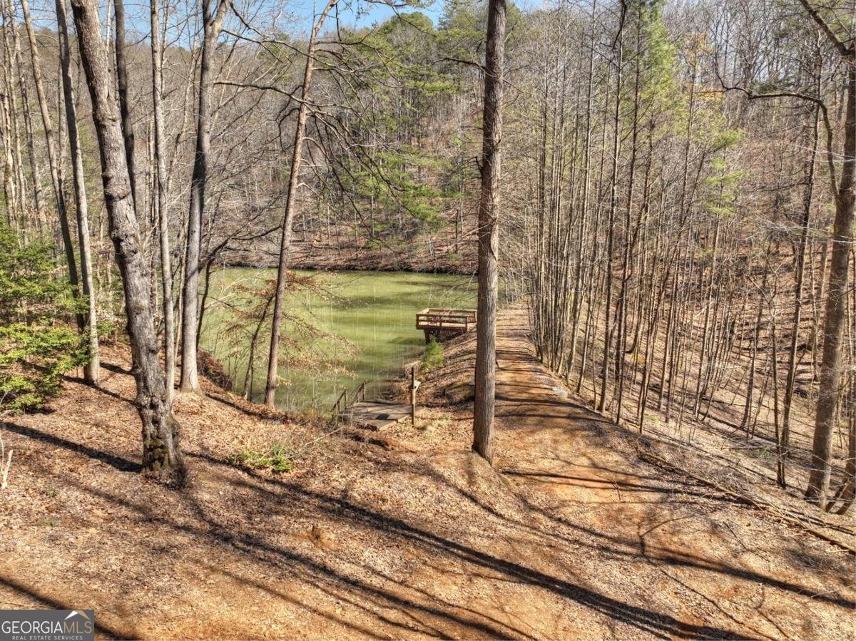 638 Cohutta Mountain Road Cherry Log - 22