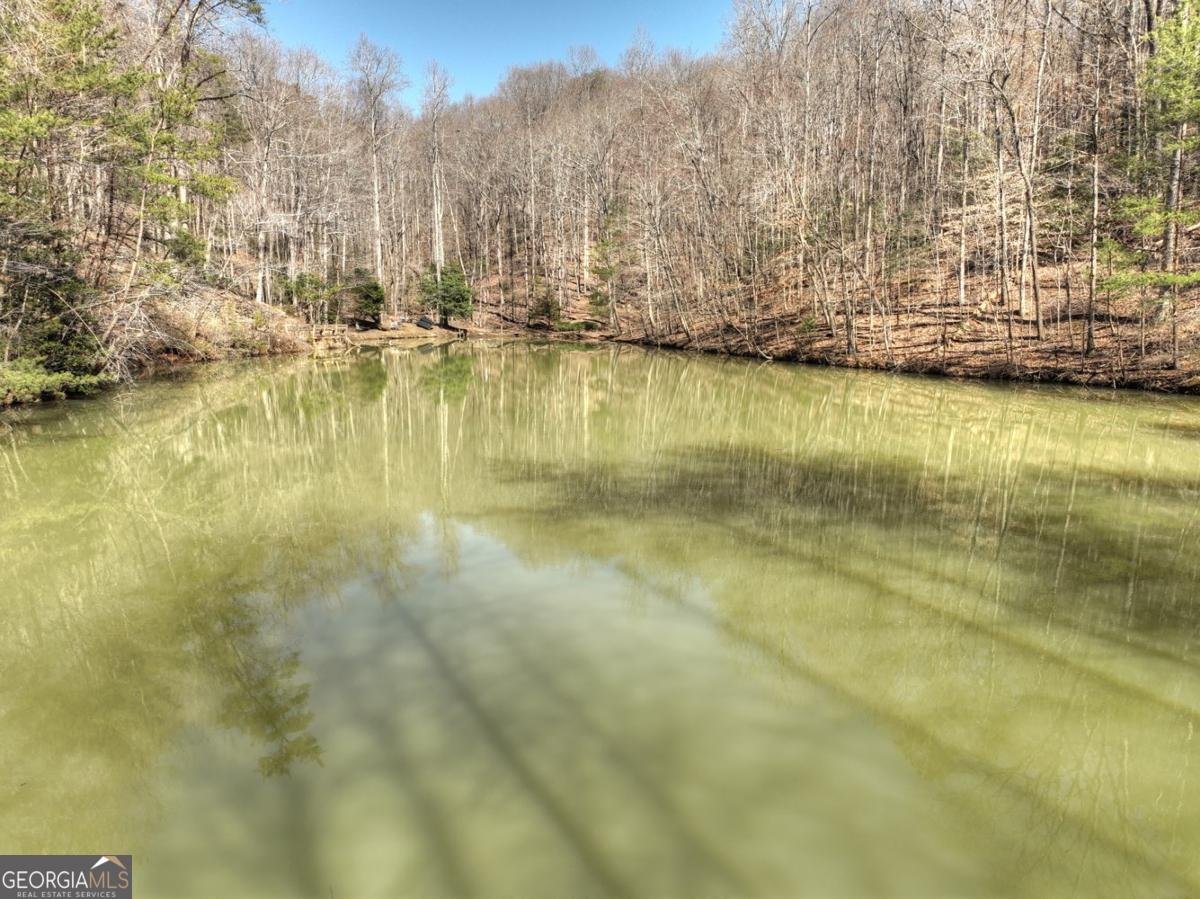 638 Cohutta Mountain Road Cherry Log - 3