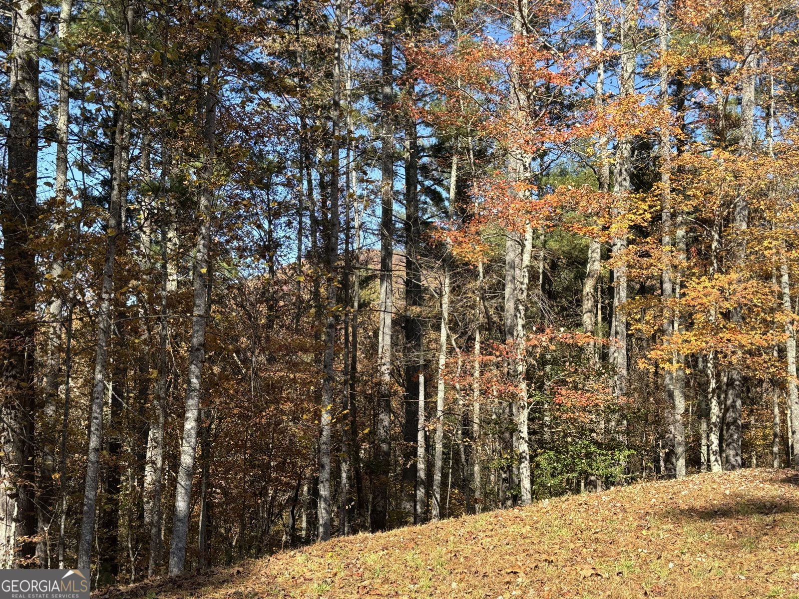 222 Piedmont Lane Clayton - 10