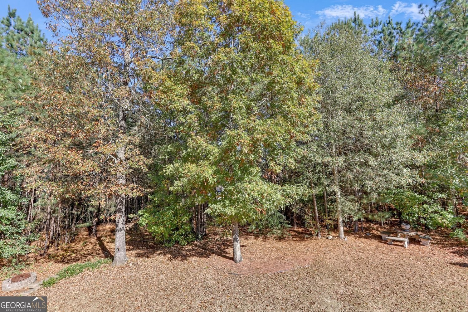 339 Oatgrass Drive Grayson - 60