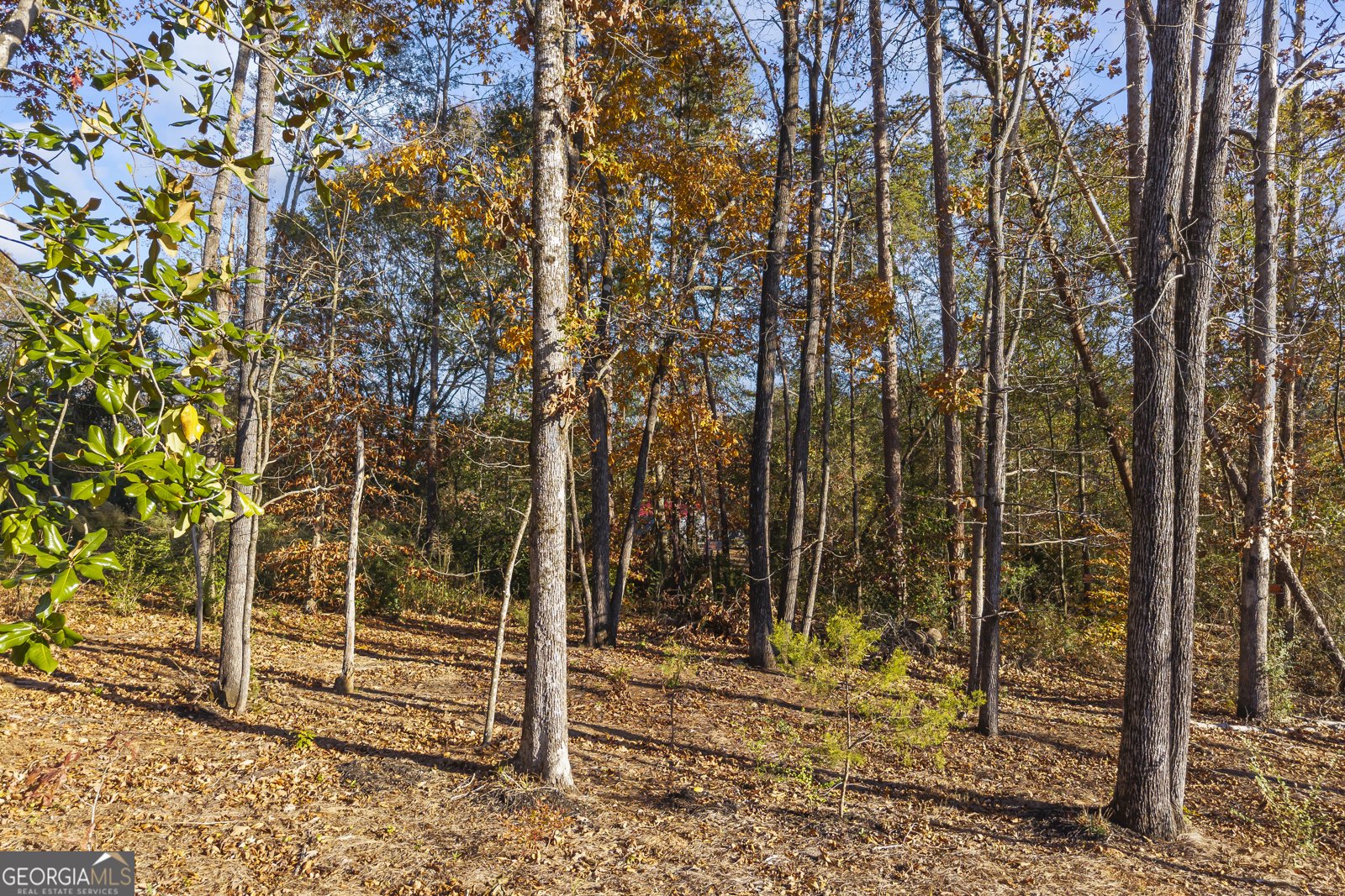 321 Quail Forest Circle Toccoa - 63