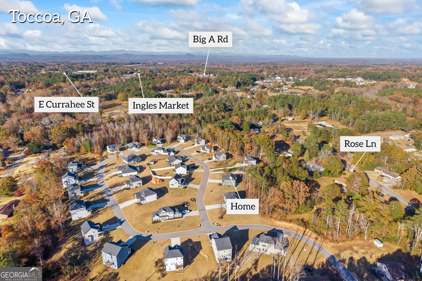 321 Quail Forest Circle Toccoa - 68