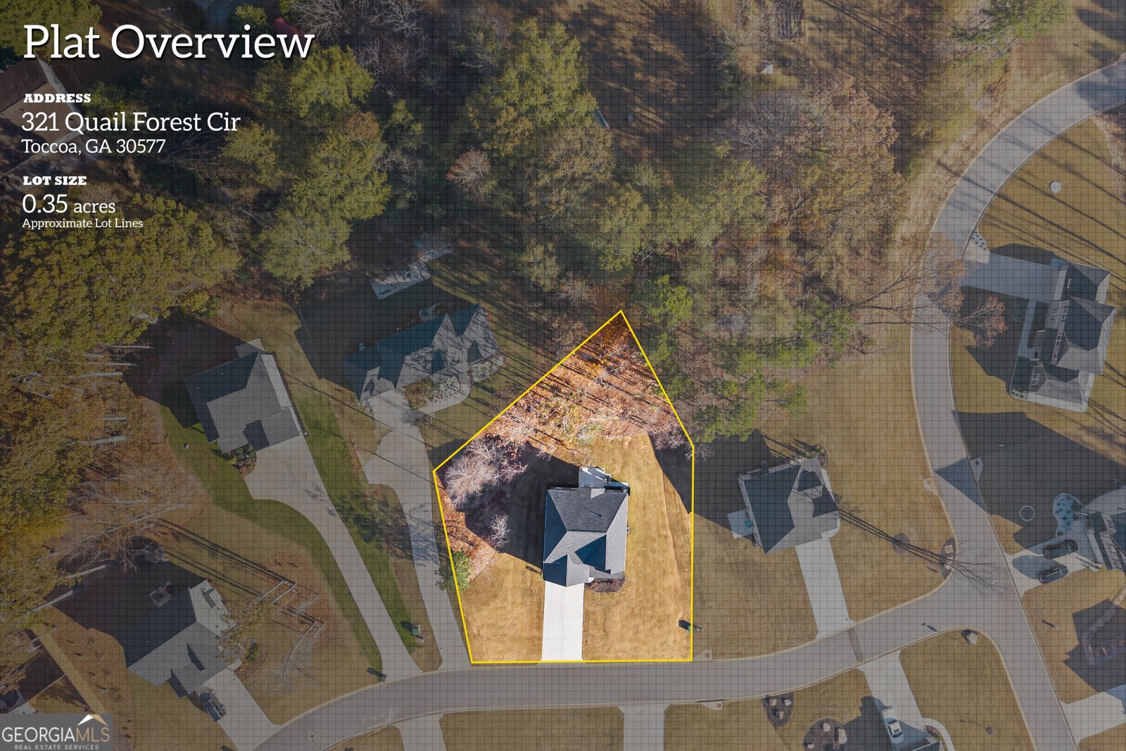 321 Quail Forest Circle Toccoa - 9