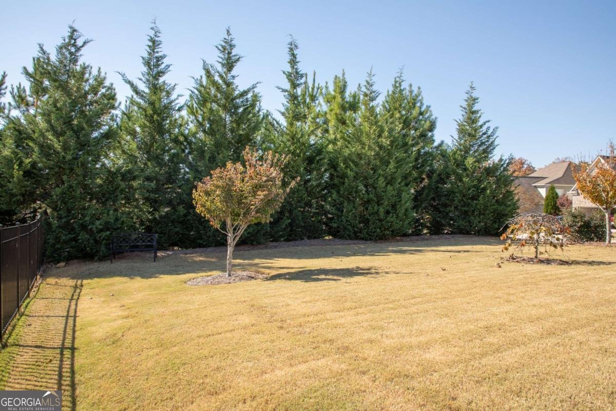 3704 Cherry Grove Road Gainesville - 25