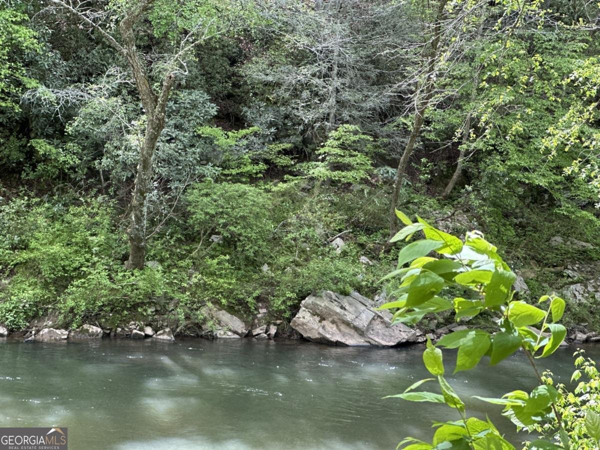 1364 Birch River Drive Dahlonega - 65