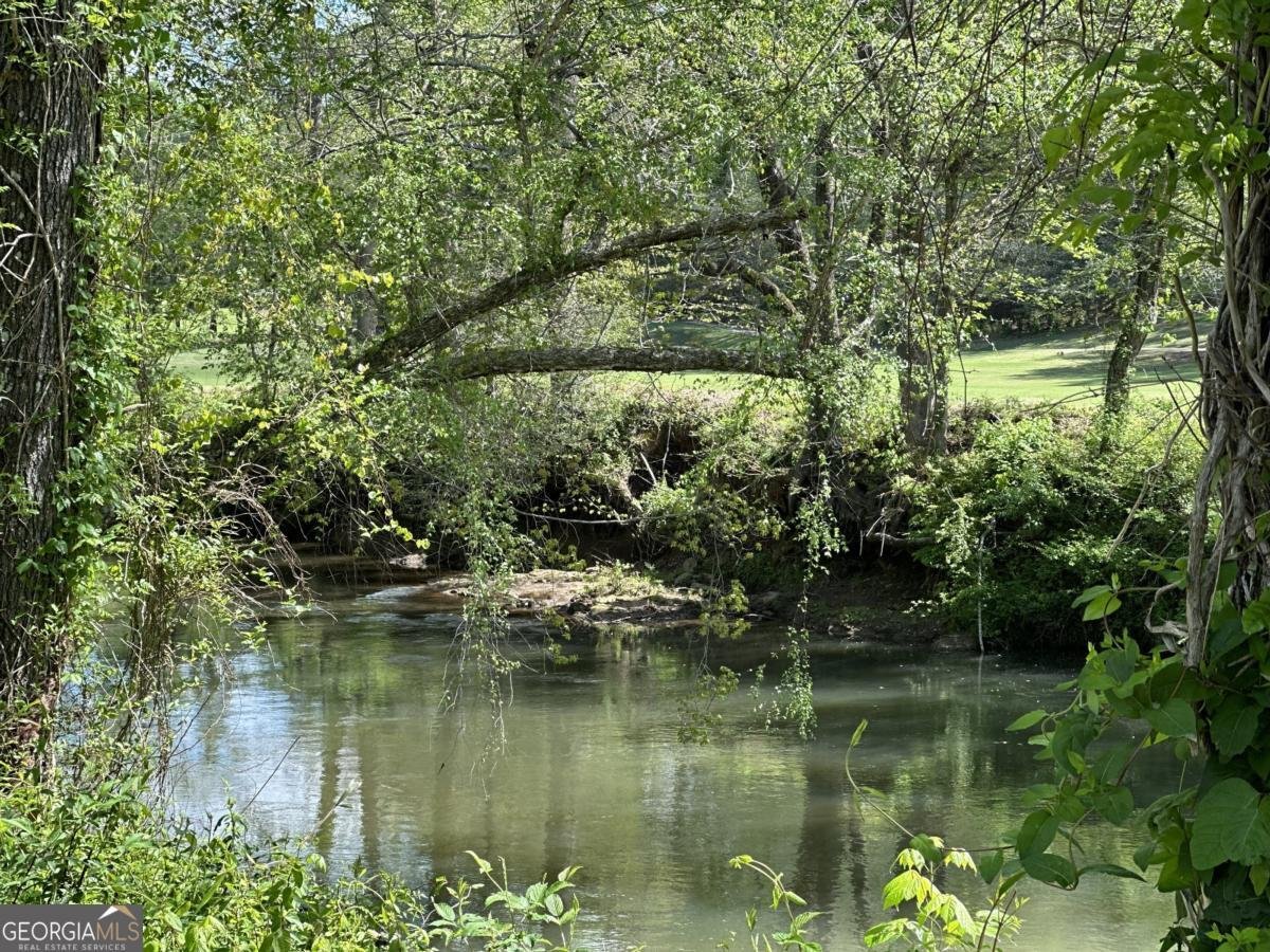 1364 Birch River Drive Dahlonega - 66