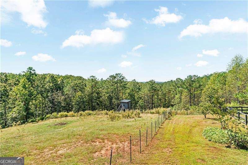 3547 Reavis Mountain Road Ball Ground - 30