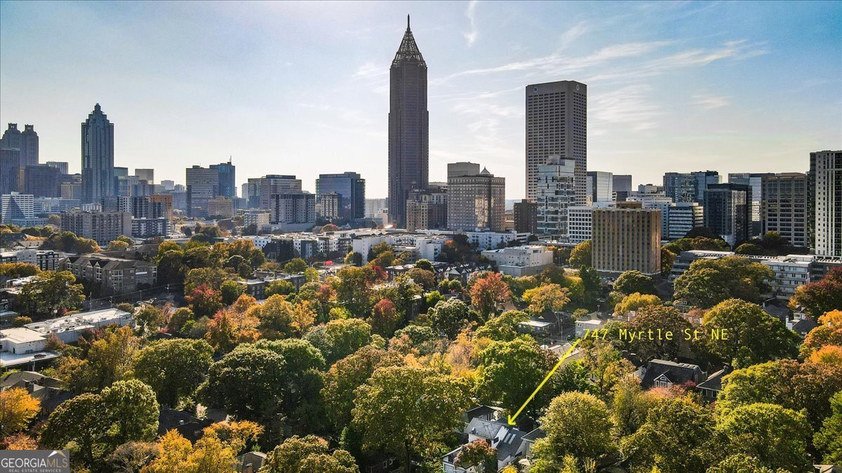 747 Myrtle Street Atlanta - 37
