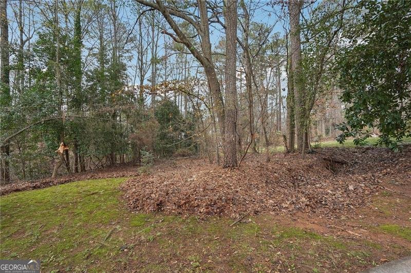 970 Laurel Mill Drive Roswell - 51