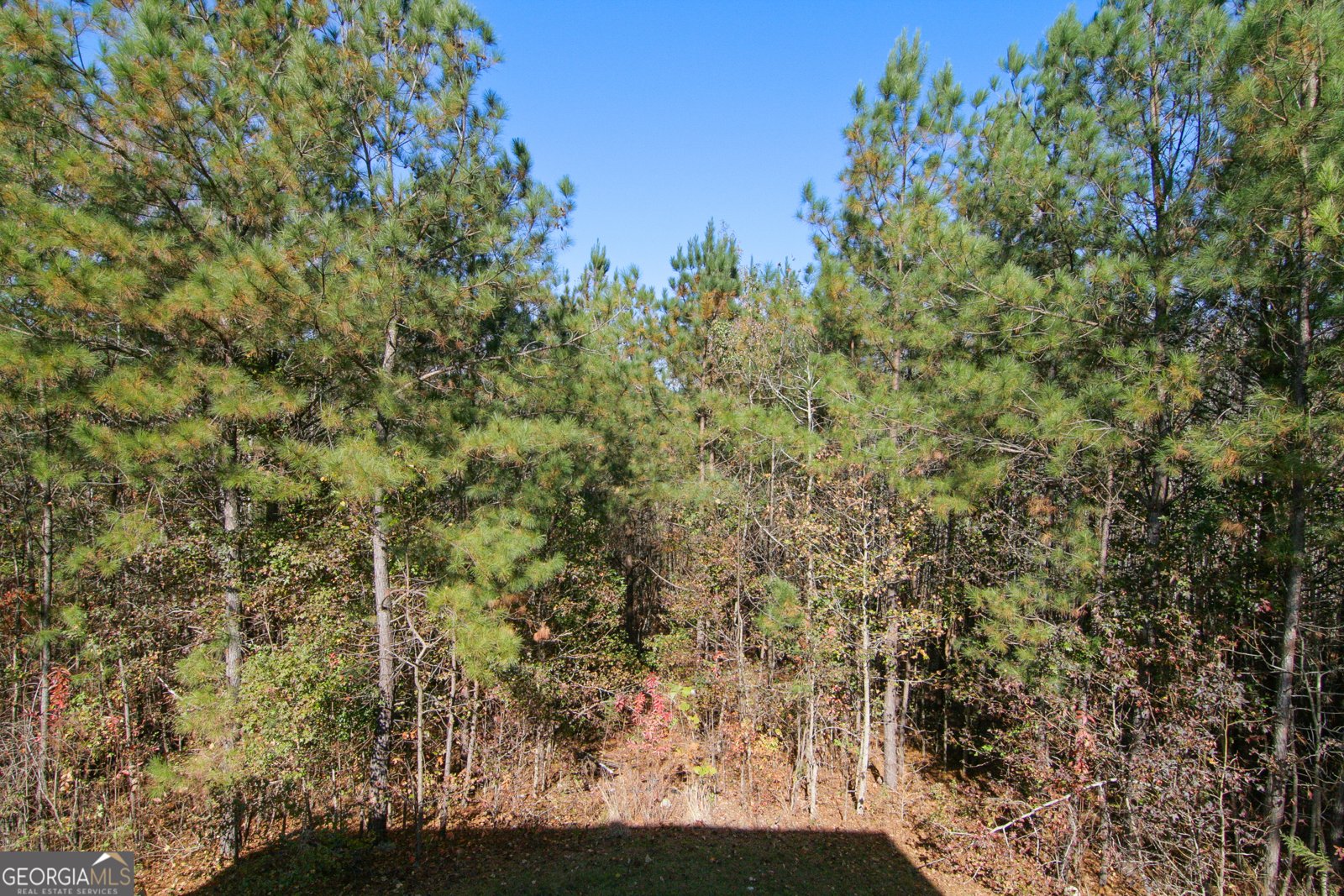 386 Springwater Way Bremen - 55