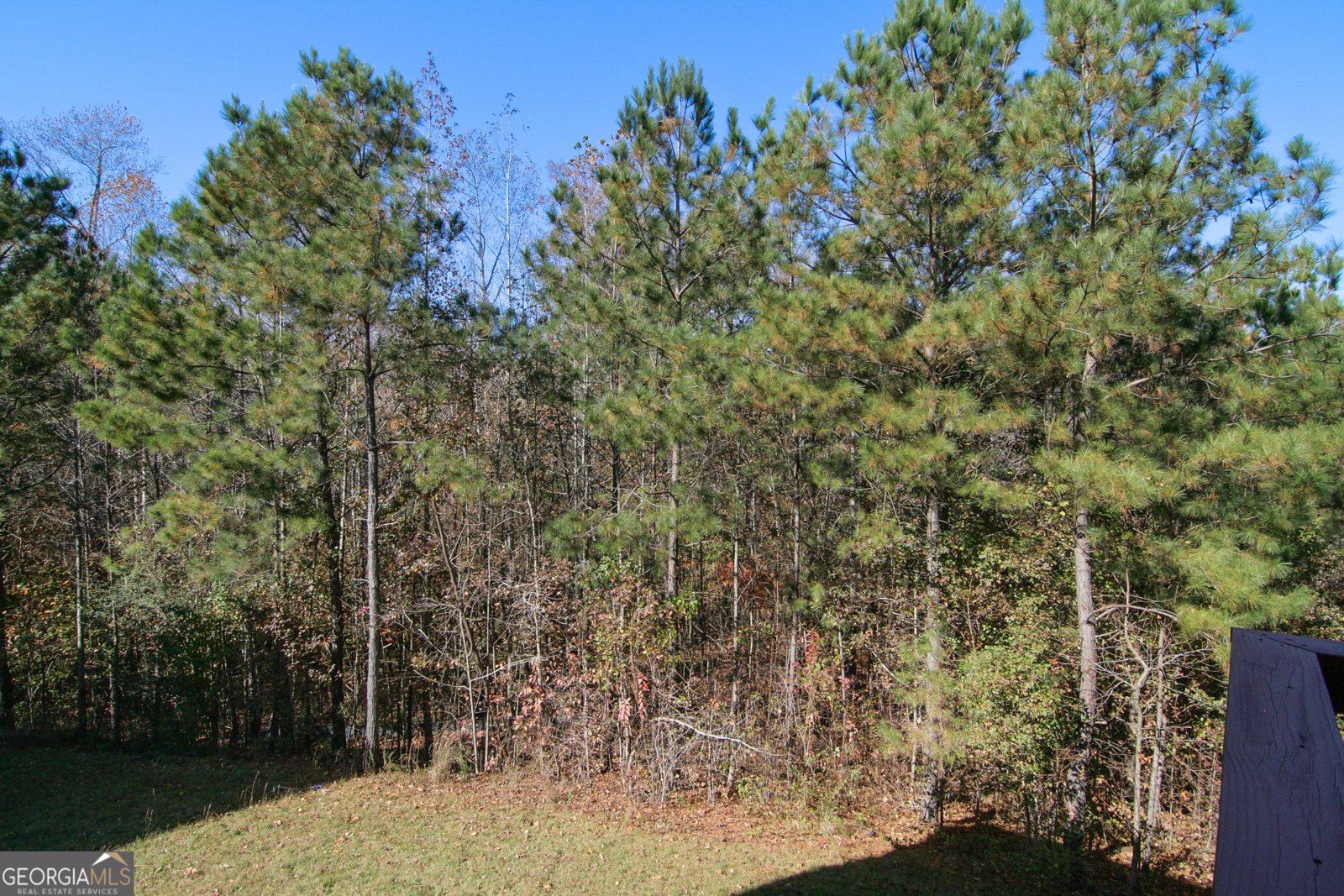 386 Springwater Way Bremen - 56