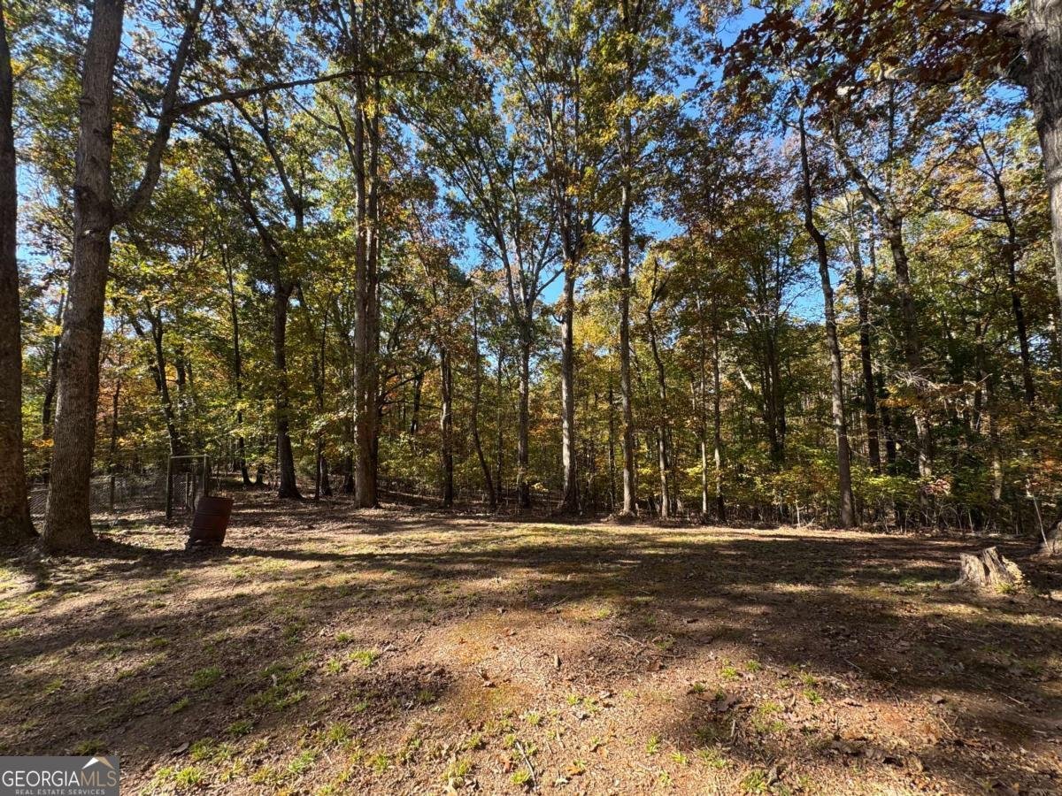 2193 Ruckersville Road Elberton - 8