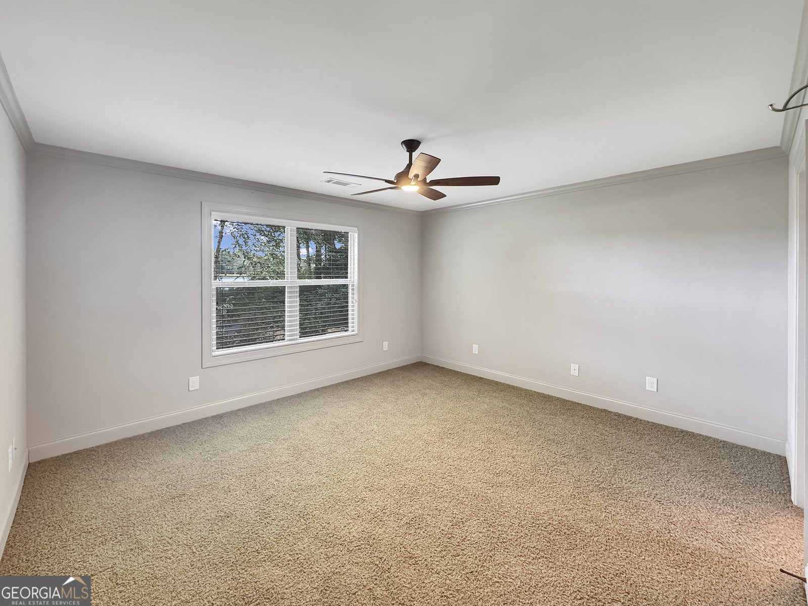 185 Lake Shore Drive Newnan - 19