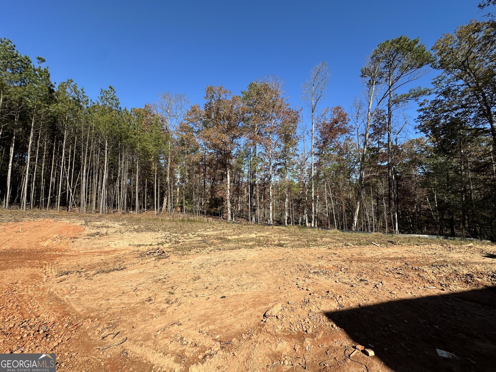 100 Sourwood Drive Mansfield - 4