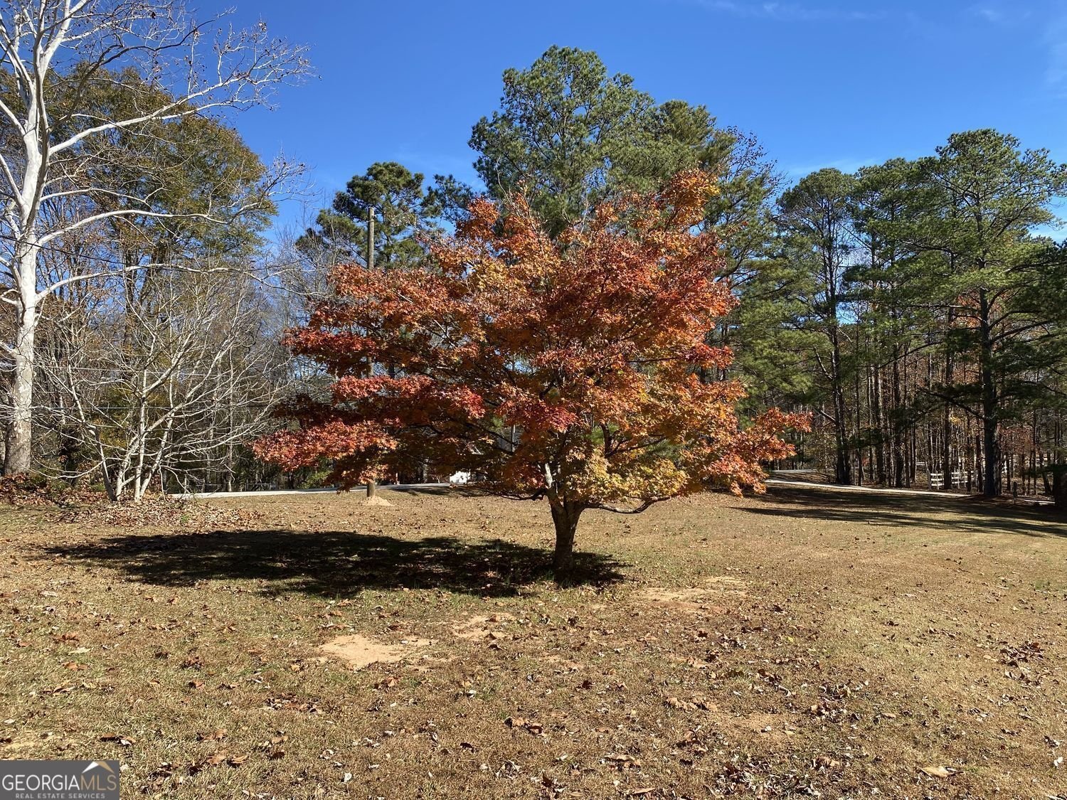 3993 Pool Road Winston - 19