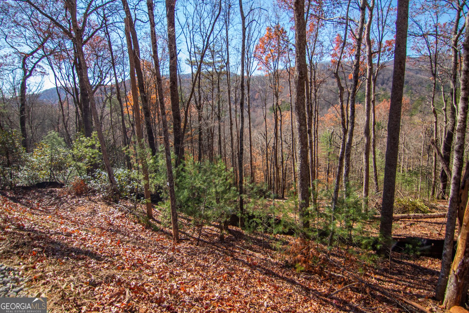 LOT 5 Clay's Way Blue Ridge - 1