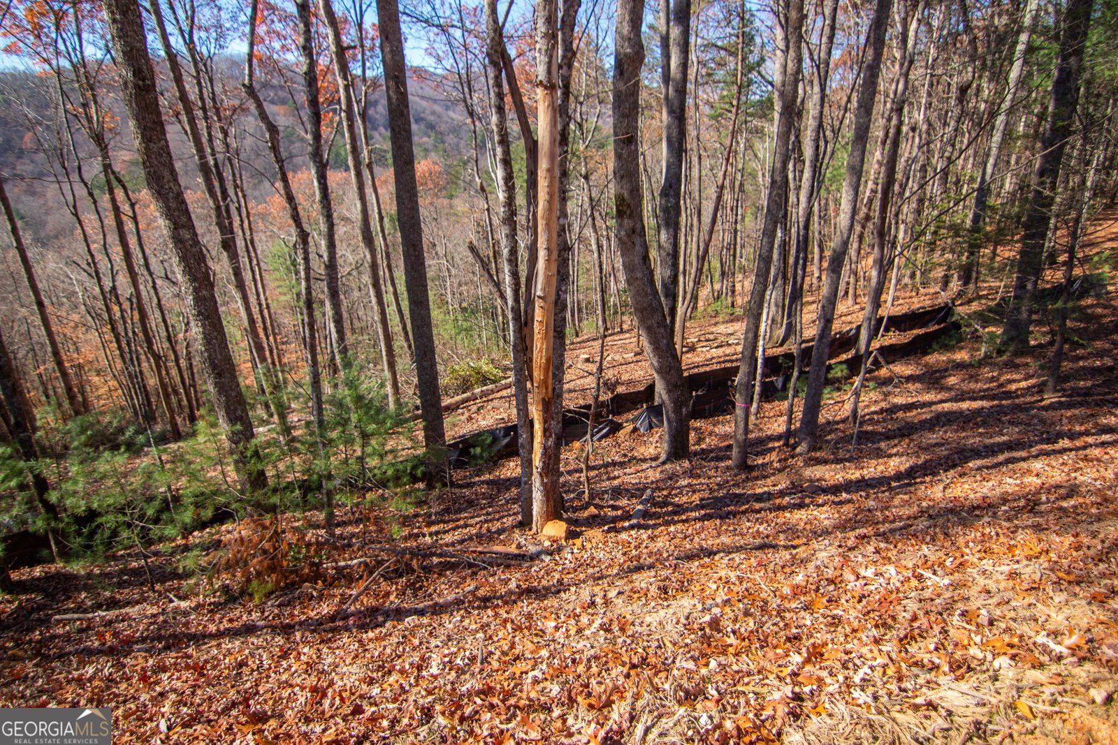 LOT 5 Clay's Way Blue Ridge - 13