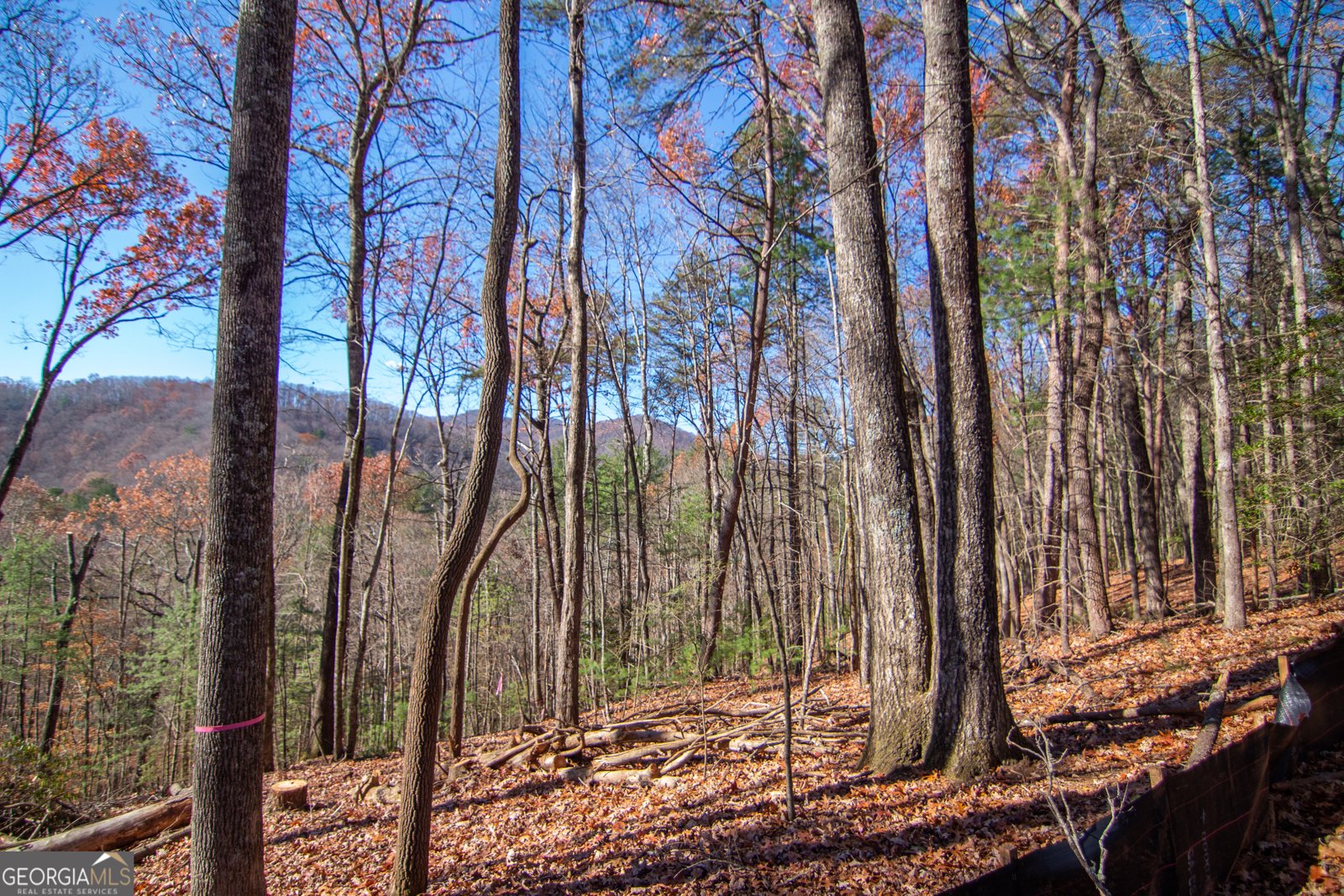 LOT 5 Clay's Way Blue Ridge - 7