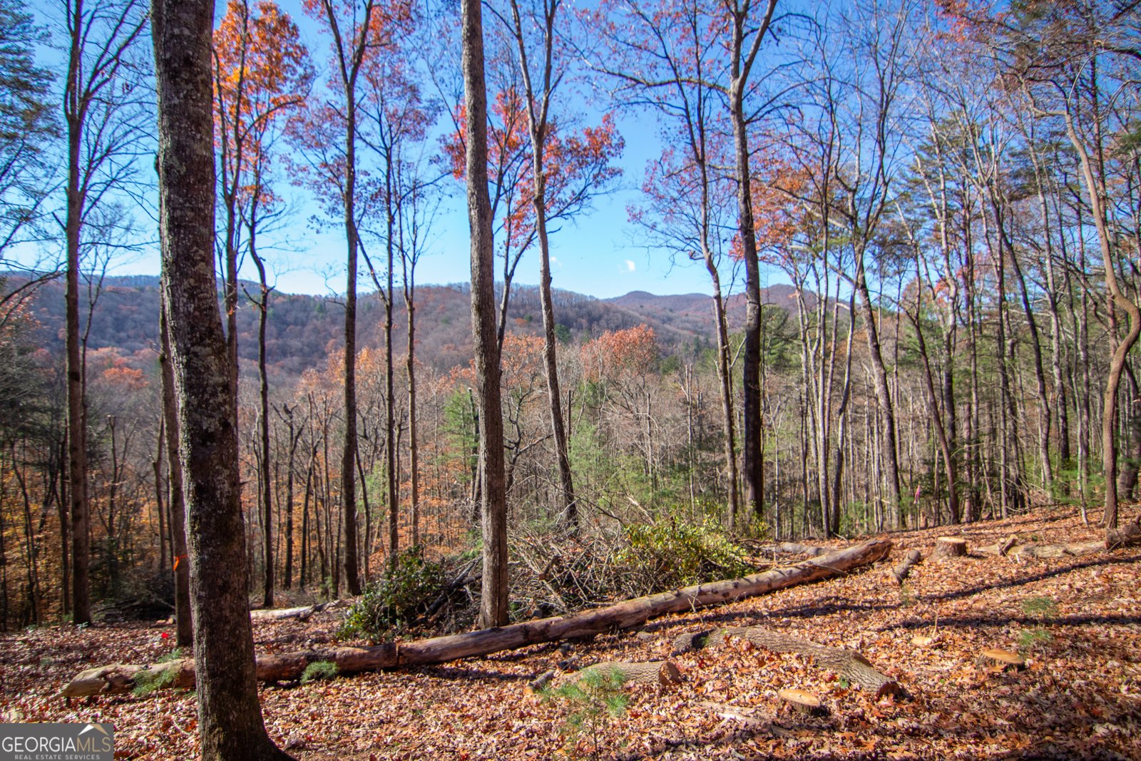 LOT 5 Clay's Way Blue Ridge - 8