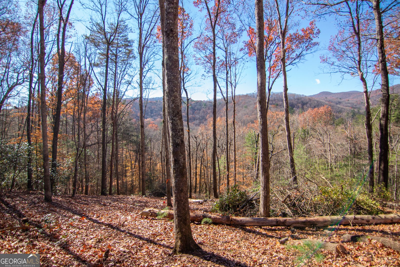 LOT 5 Clay's Way Blue Ridge - 9