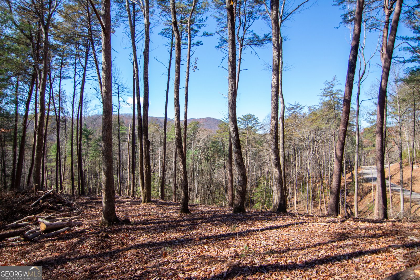 LOT 2A Clay's Way Blue Ridge - 11