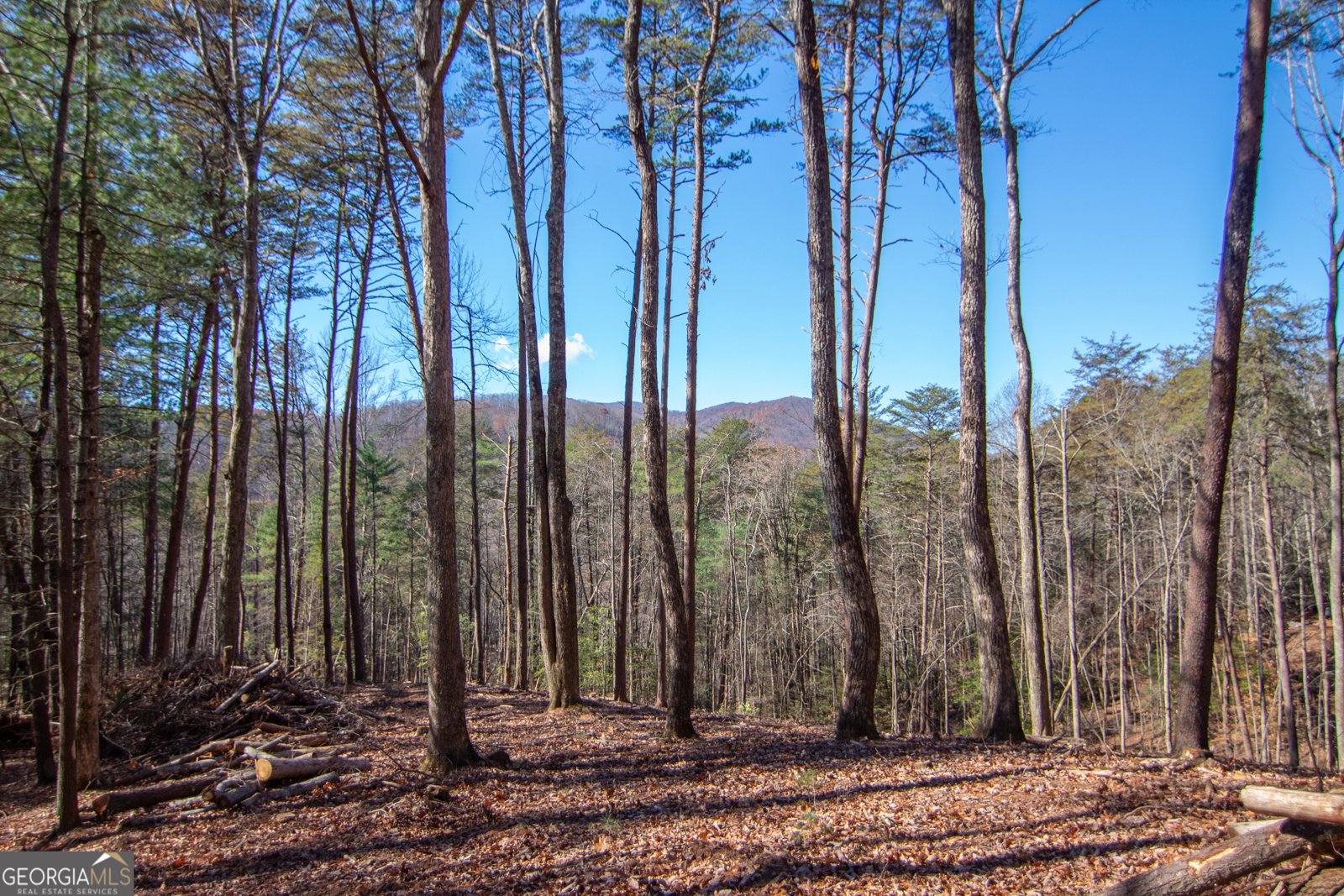 LOT 2A Clay's Way Blue Ridge - 12