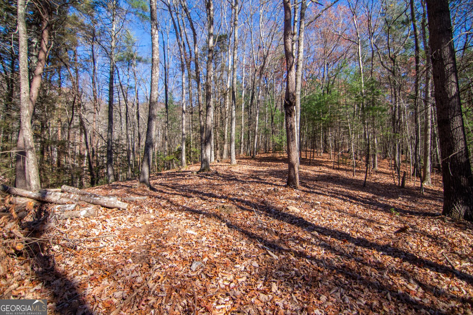 LOT 2A Clay's Way Blue Ridge - 7