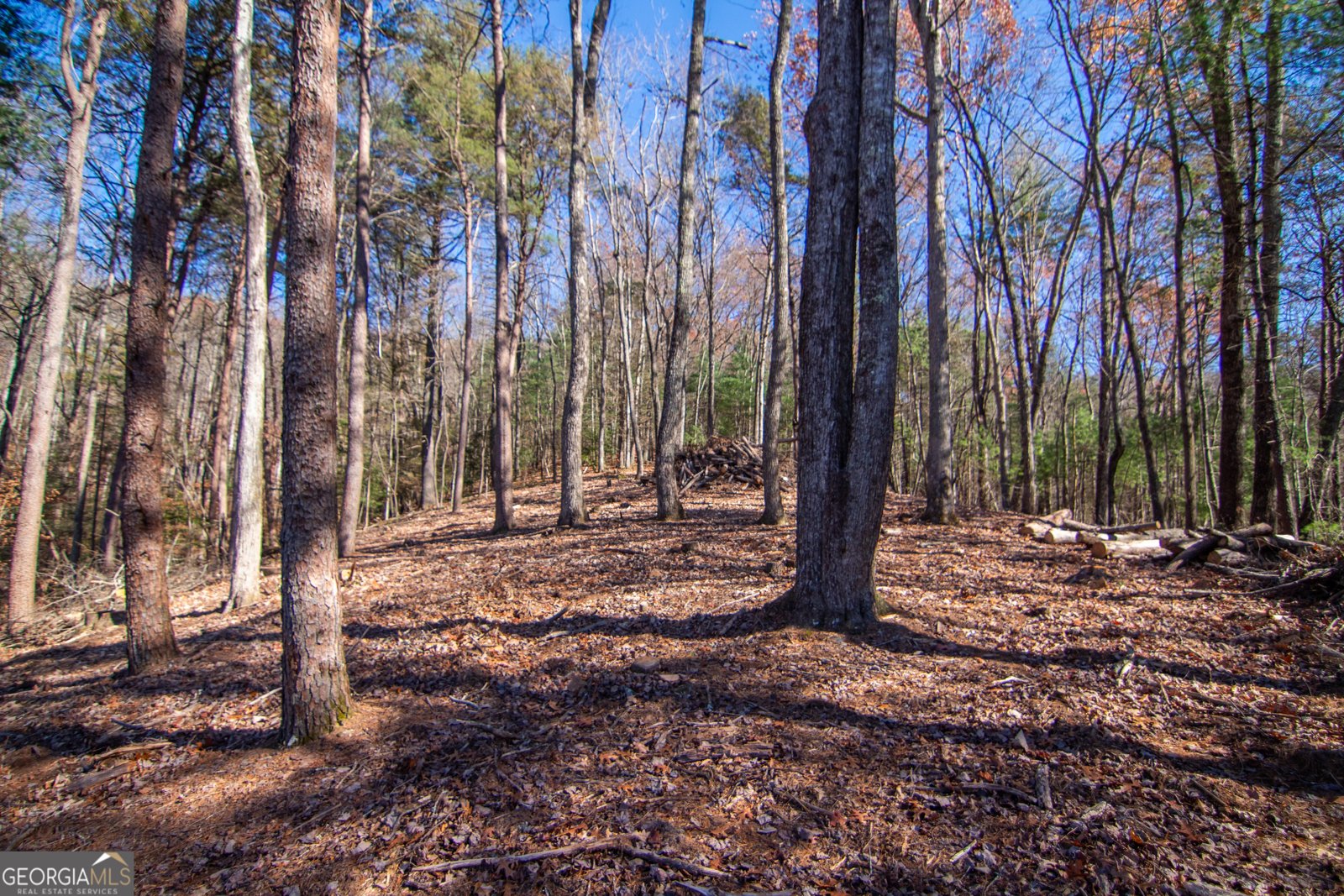 LOT 2A Clay's Way Blue Ridge - 9