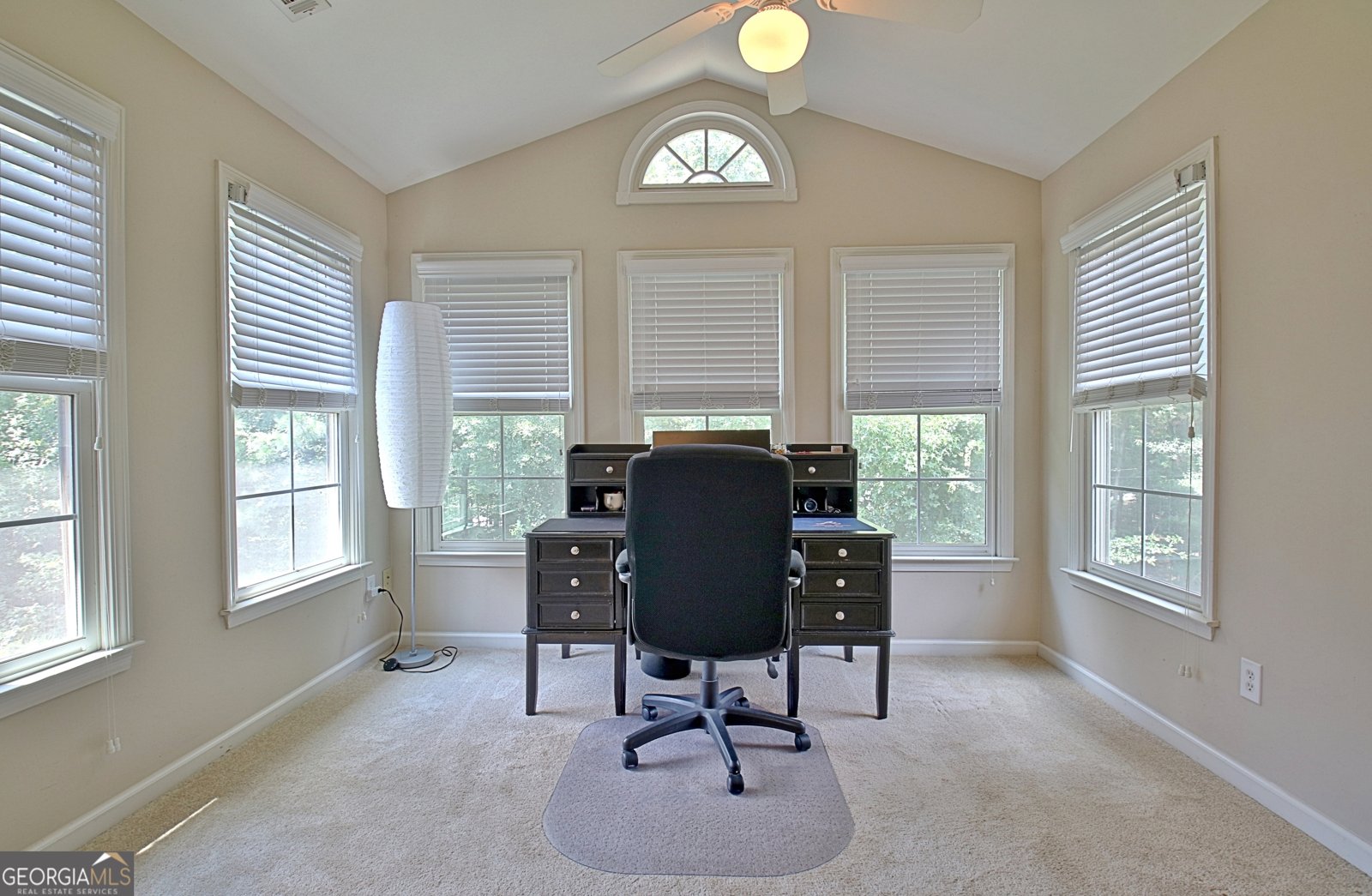 22 Star Spangled Lane Peachtree City - 42