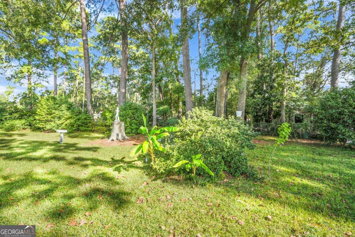 97 Azalea Avenue Garden City - 29