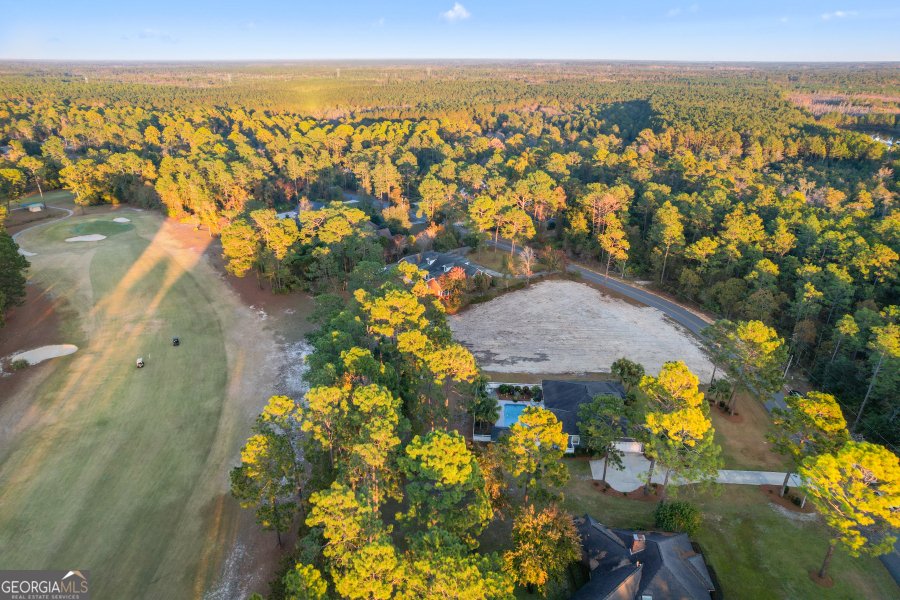 49 Pine Forest Drive Jesup - 4