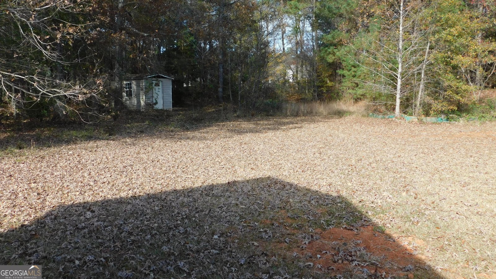 425 Berkshire Drive Covington - 7