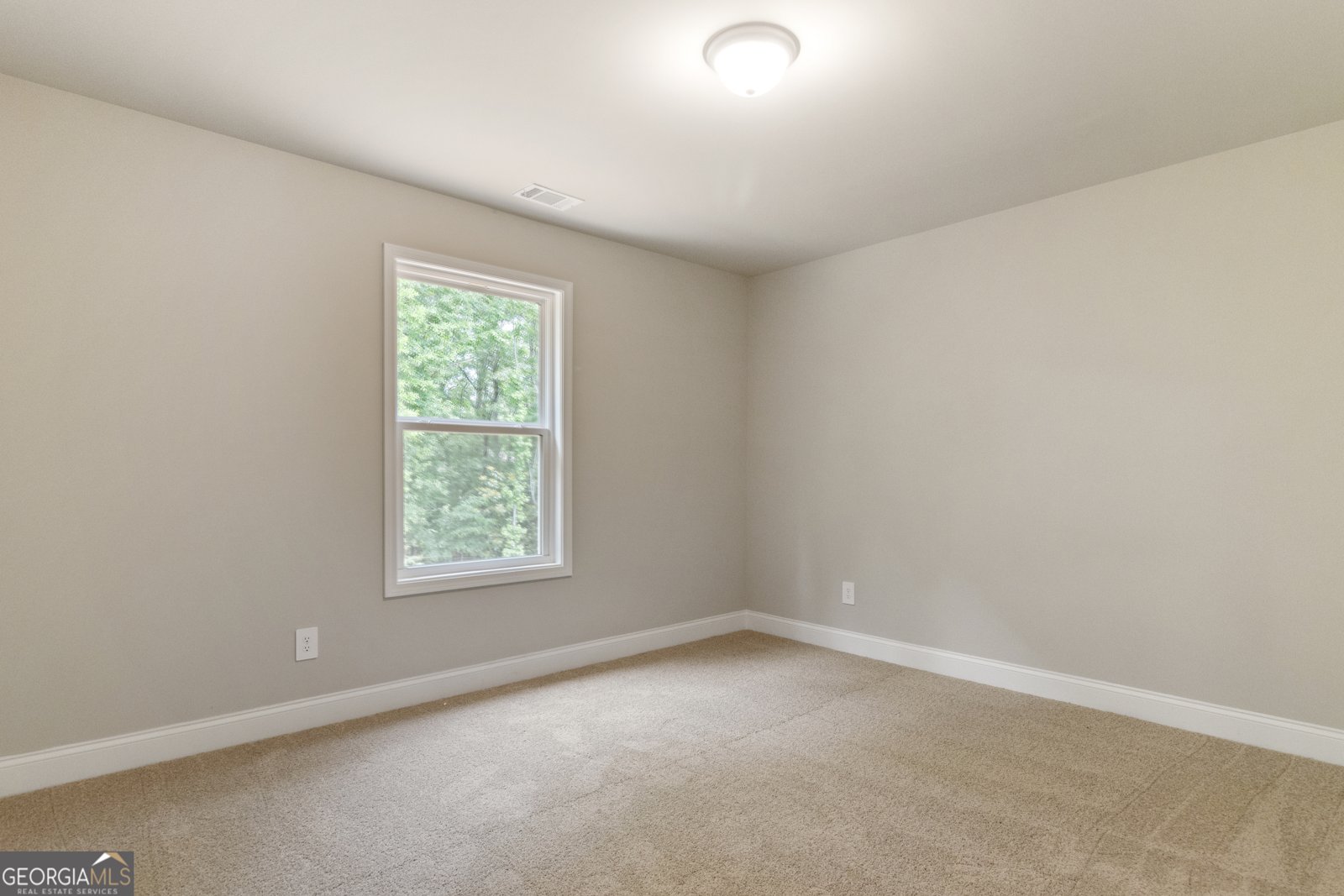 215 Davis Lake Court Thomaston - 25