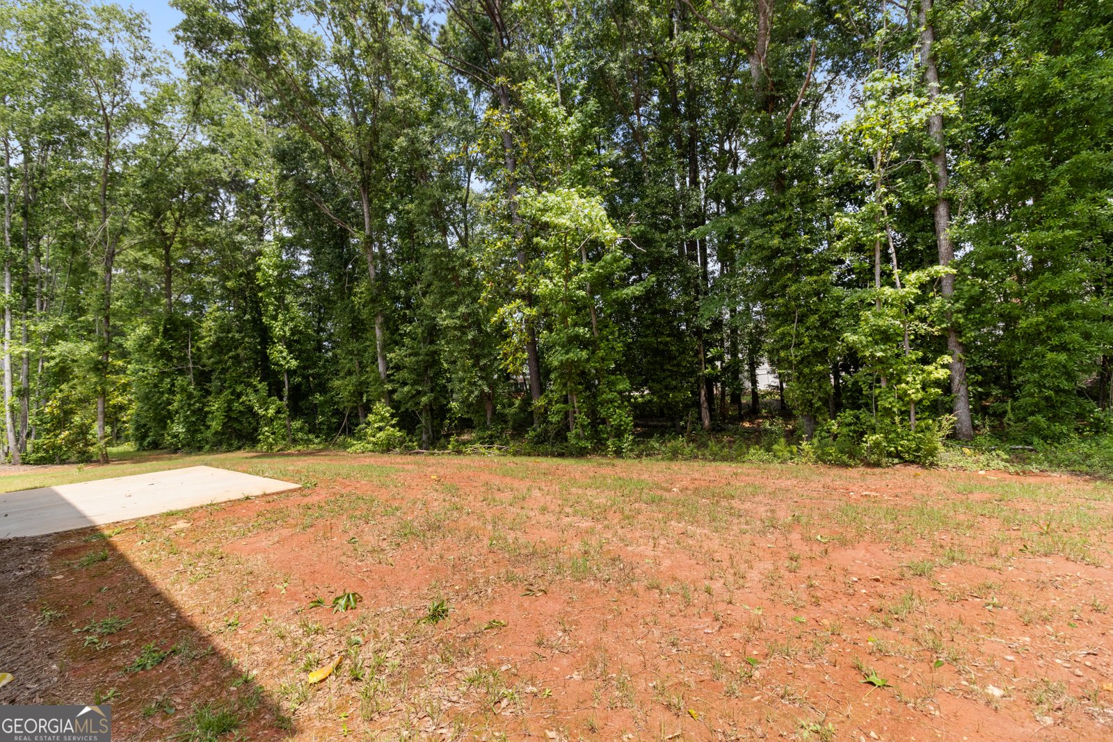 215 Davis Lake Court Thomaston - 28