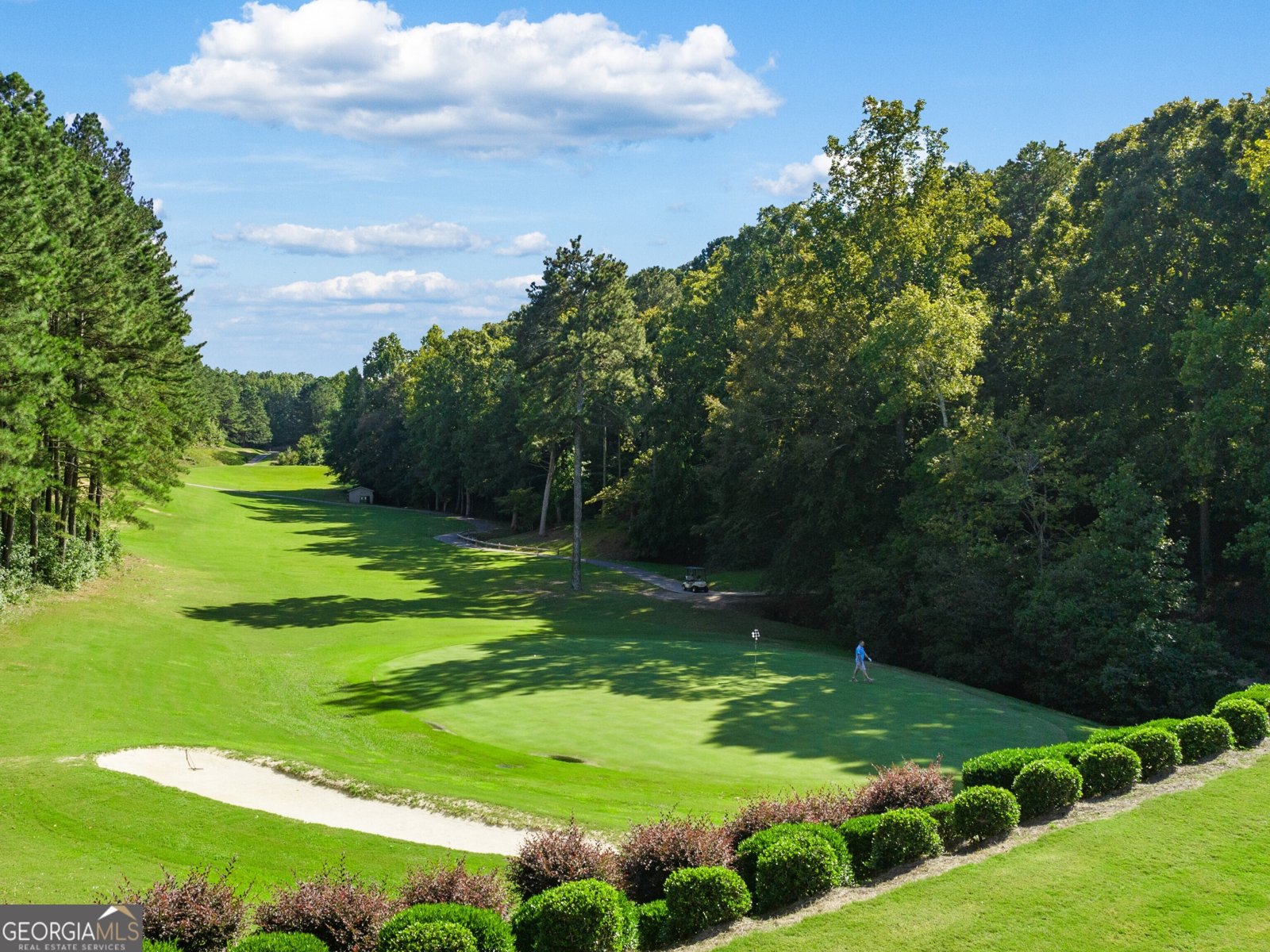 342 Belmont Drive Cartersville - 12