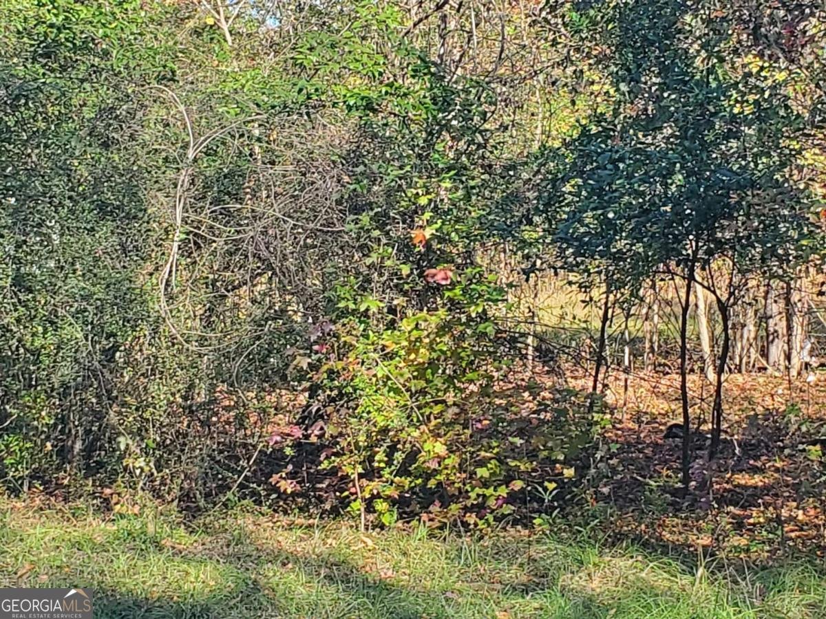 34 Ash Street Haddock - 16