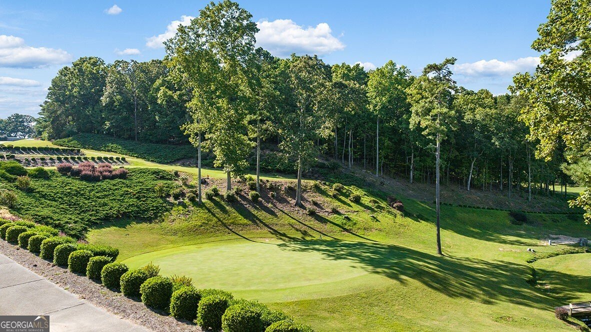 338 Belmont Drive Cartersville - 52