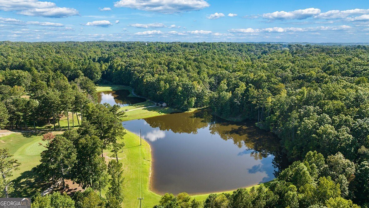 338 Belmont Drive Cartersville - 58