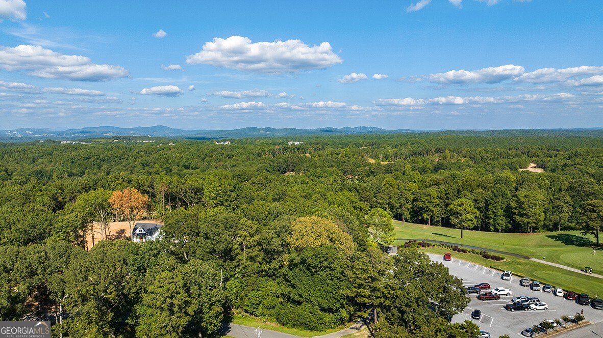 338 Belmont Drive Cartersville - 59