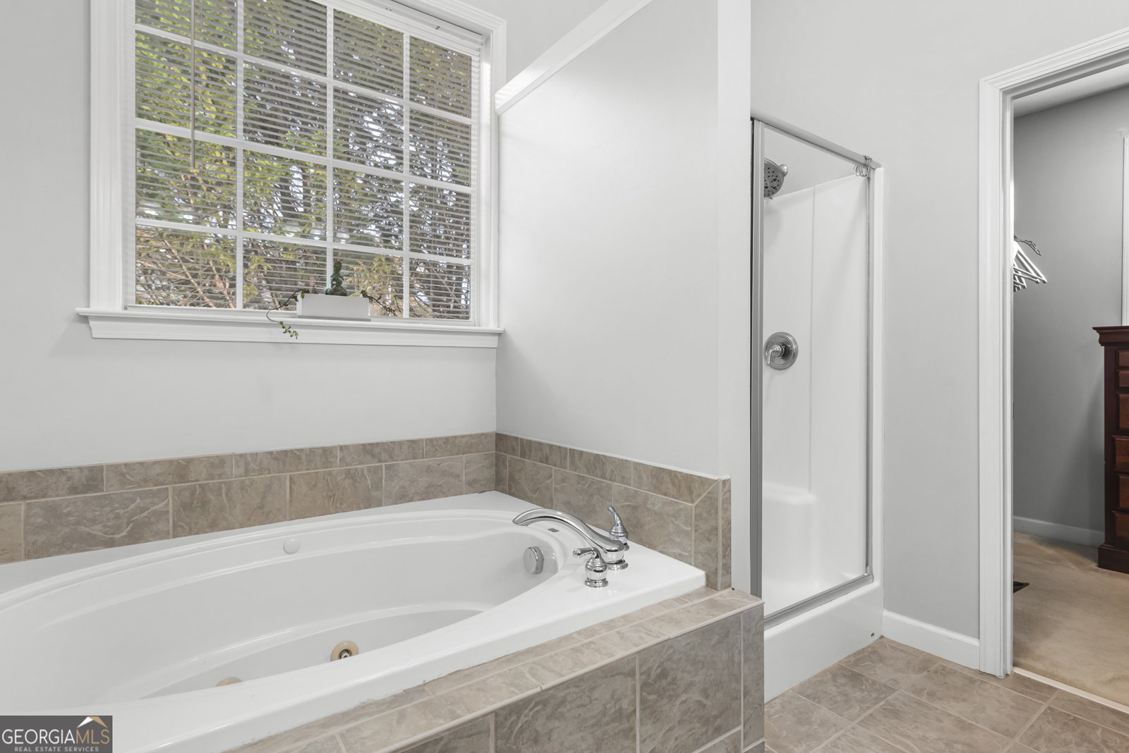 168 Elders Mill Estates Drive Senoia - 10