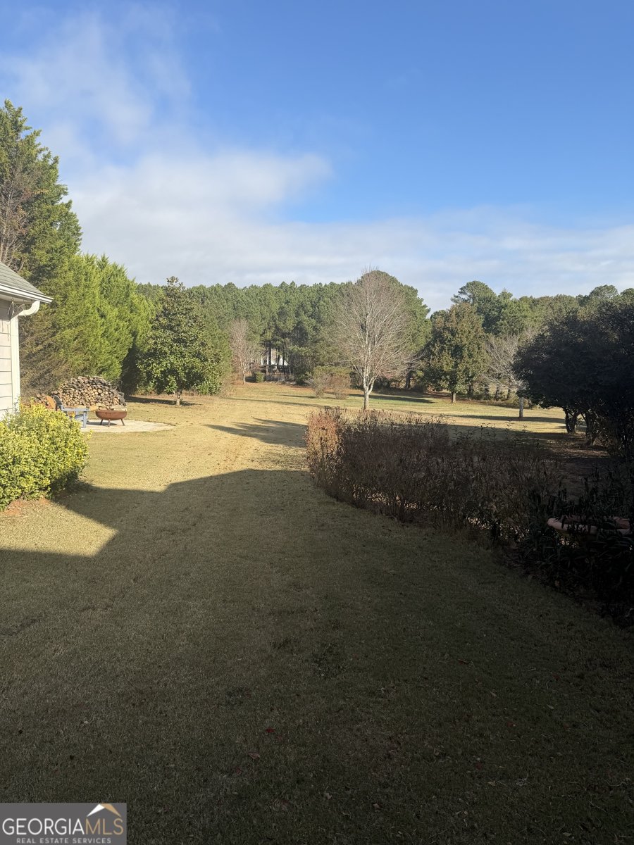 168 Elders Mill Estates Drive Senoia - 4