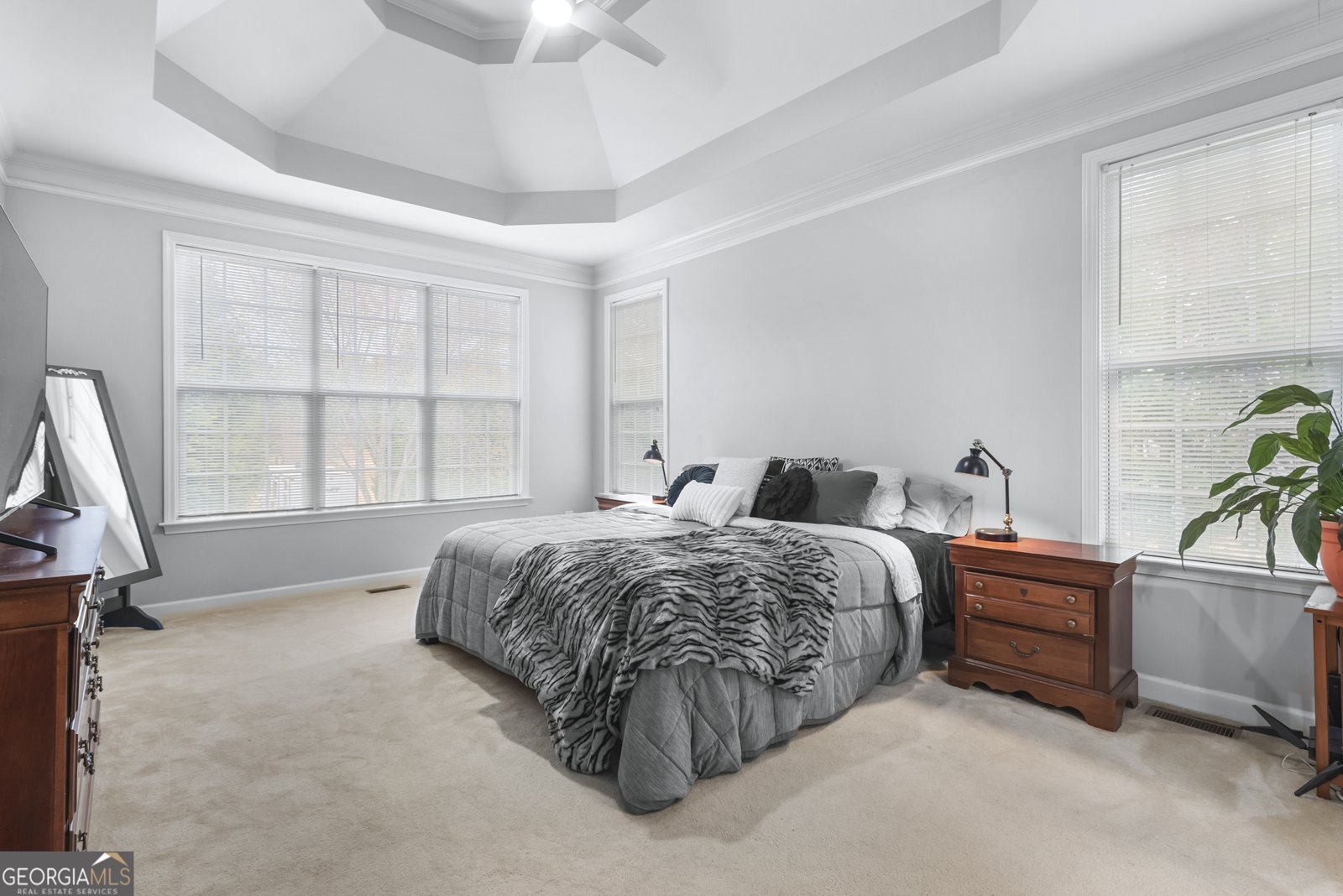 168 Elders Mill Estates Drive Senoia - 6