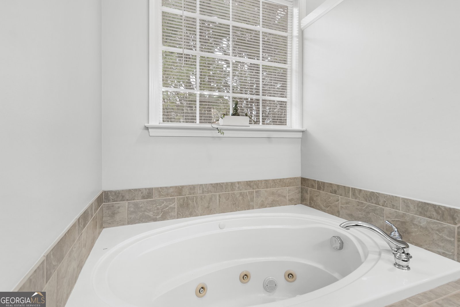 168 Elders Mill Estates Drive Senoia - 9