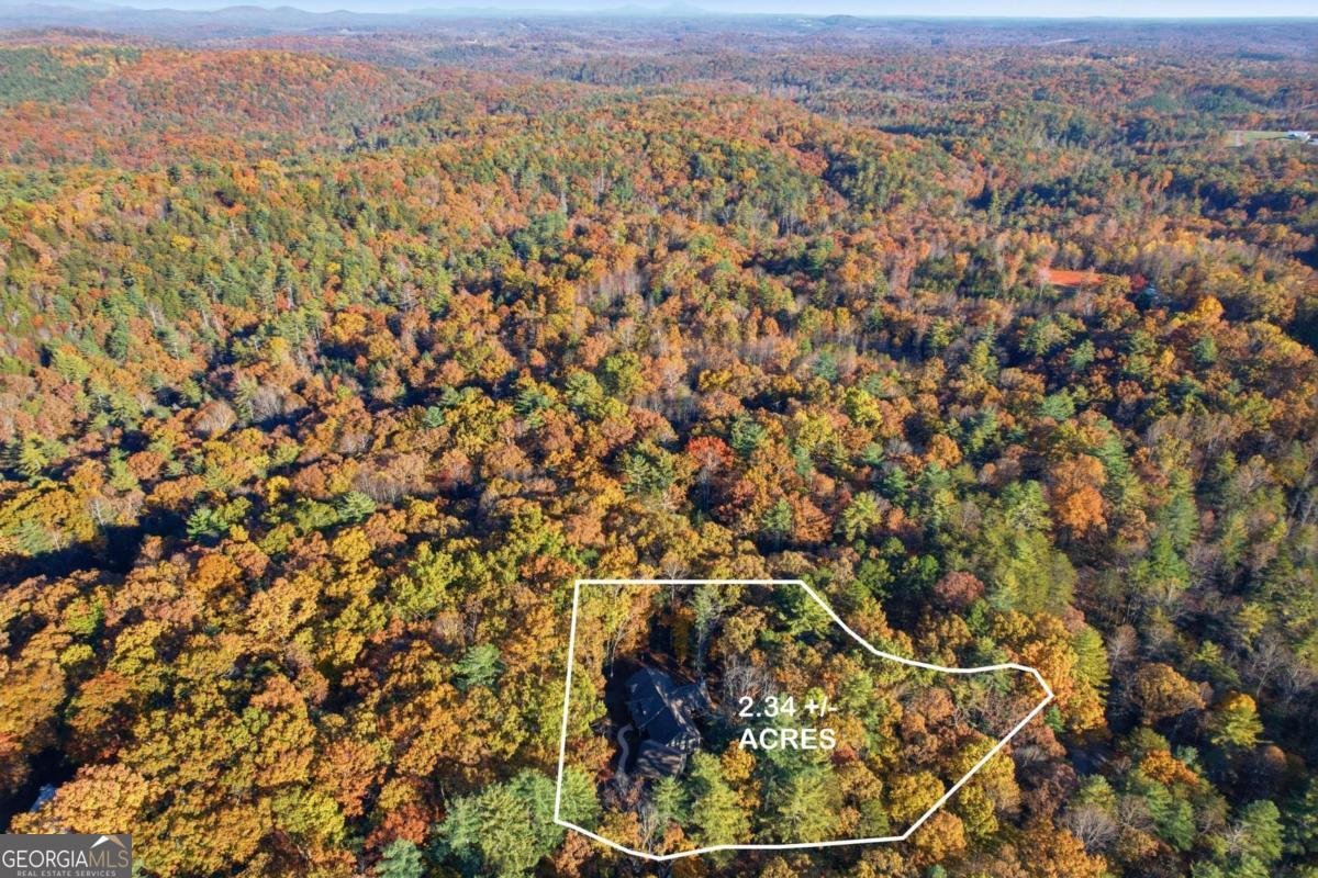 70 Avery Trail Dahlonega - 29