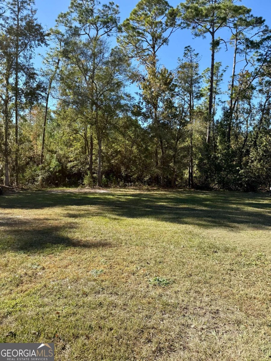 321 Grove Boulevard Kingsland - 17