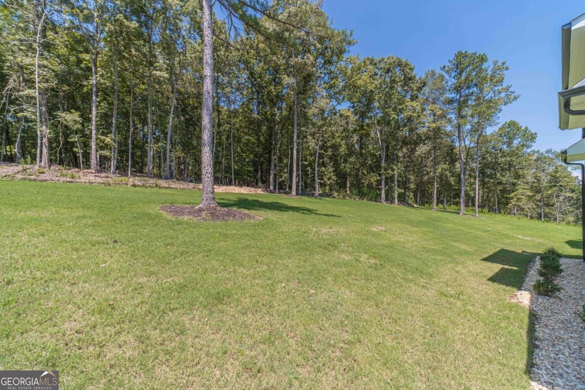 3078 Turning Creek Trail Dacula - 39