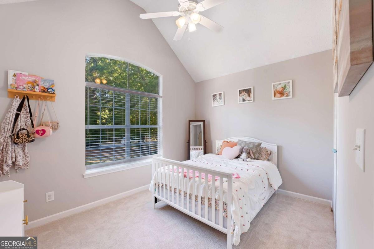 101 Apache Pointe Drive Senoia - 18