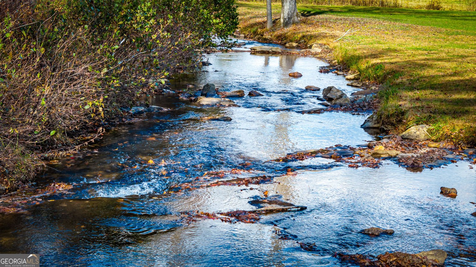 908 Cashes Valley Road Cherry Log - 15